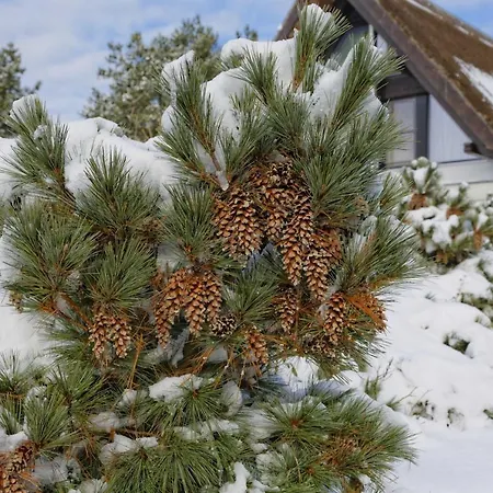 Lotsenstieg 2 Kajuete 07