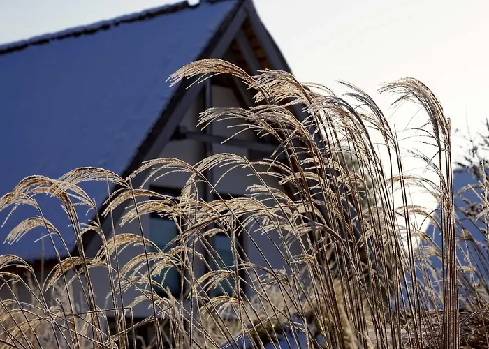 Lotsenstieg 2 Kajuete 07